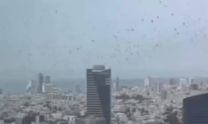 特拉维夫上空出现鸦群,以色列疑似寻求停火,伊朗表示要为47年账“做个了断”
