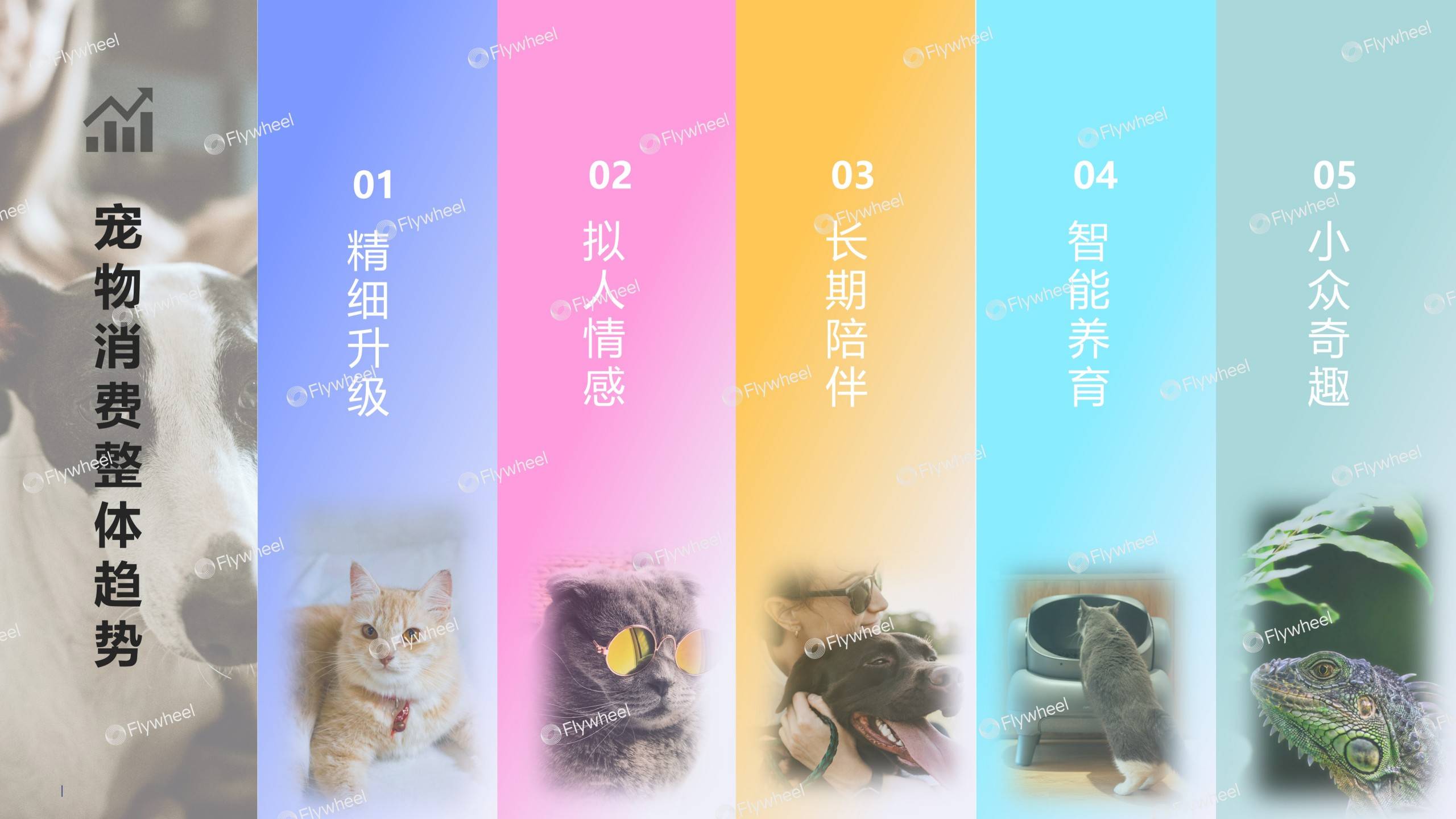 《2026宠物行业趋势报告》发布:宠物经济浪潮下的需求与机会(图13)