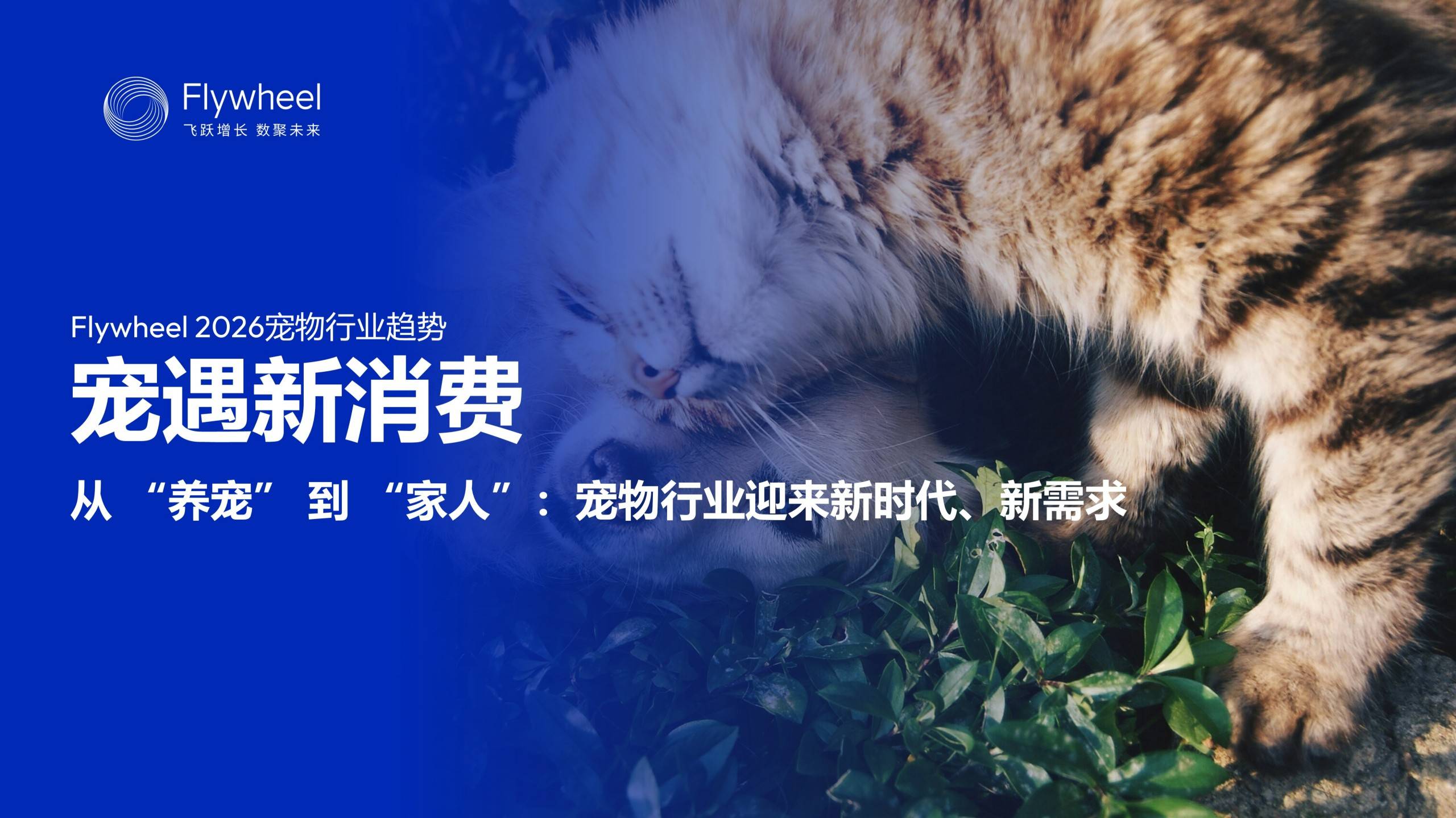 《2026宠物行业趋势报告》发布:宠物经济浪潮下的需求与机会(图1)