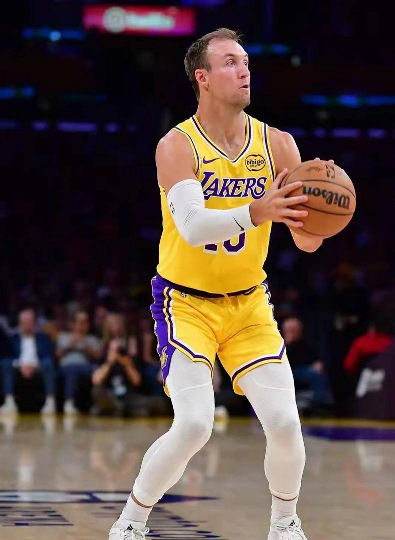 shadowrocket几个设备