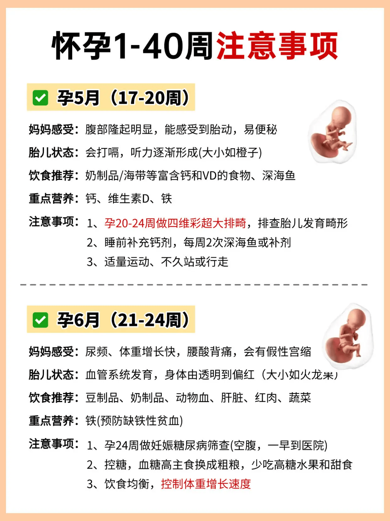 怀孕1-40周胎儿发育!新手孕妈实用攻略
