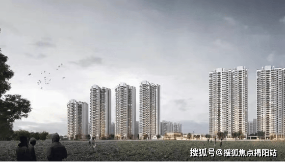 文章配图-11