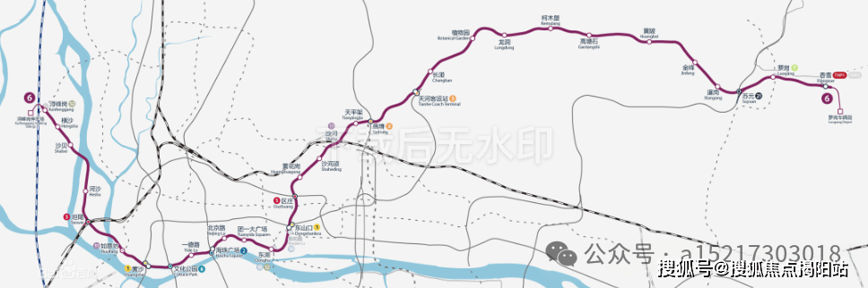文章配图-16