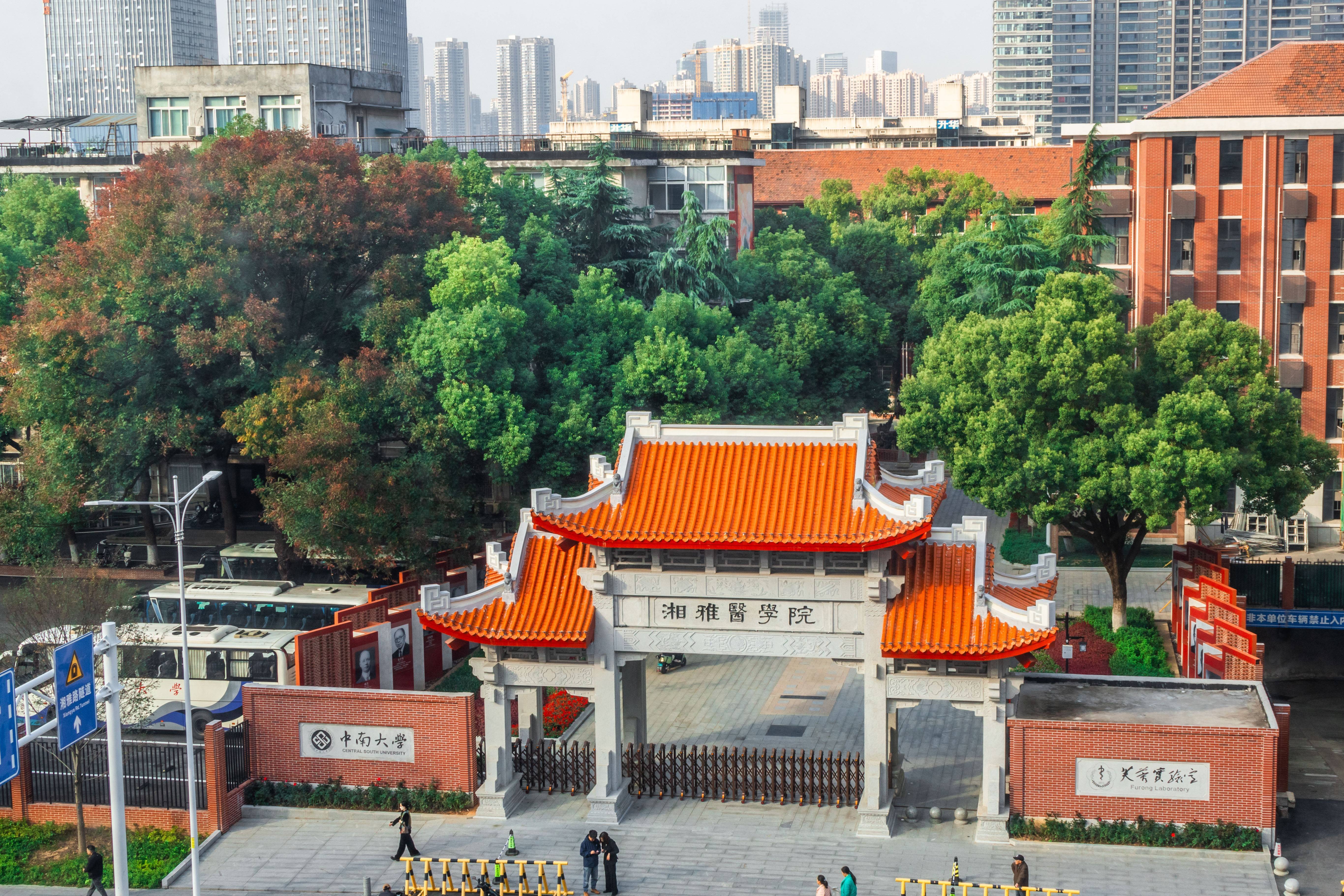 文章配图-1