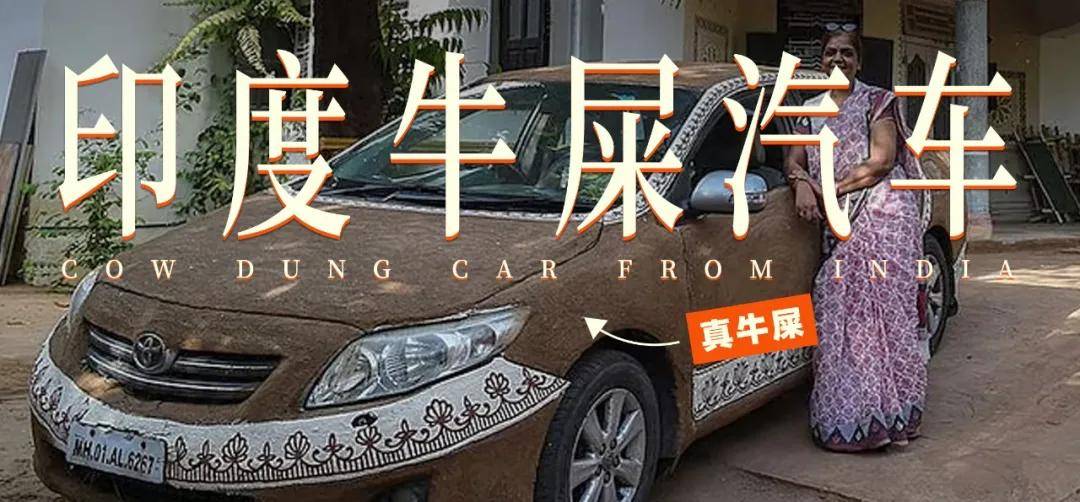 
        牛来了，日本决定大力开发印度牛粪 | 地球知识局