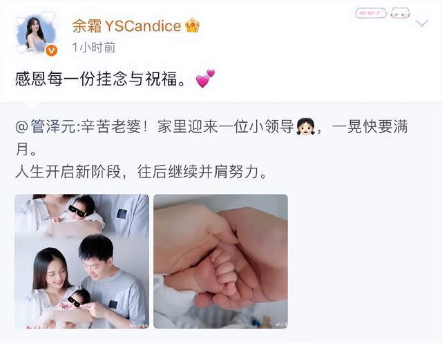 lpl二号种子