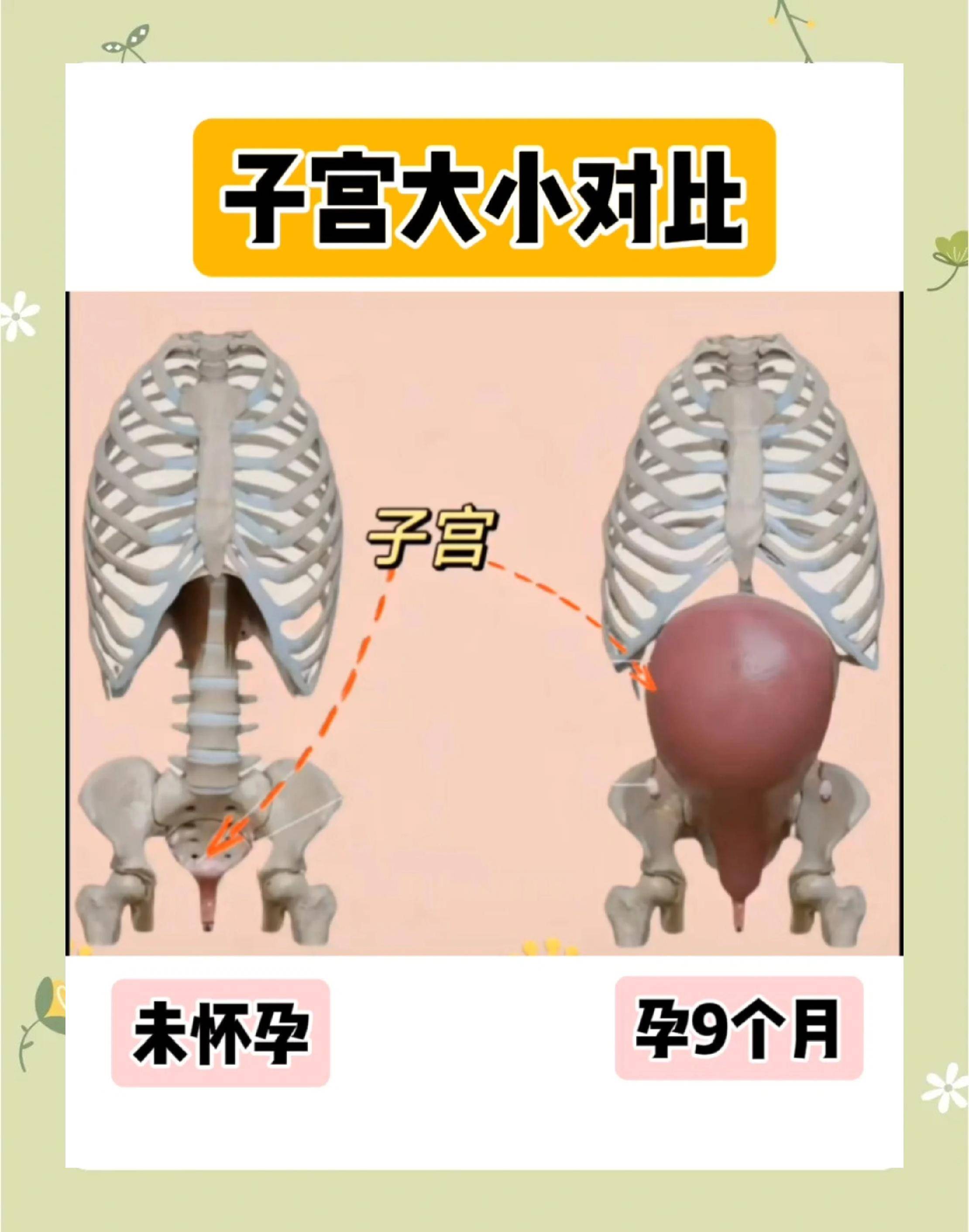 生没生过孩子到底有什么区别呢?一组图片告诉你到底有什么区别