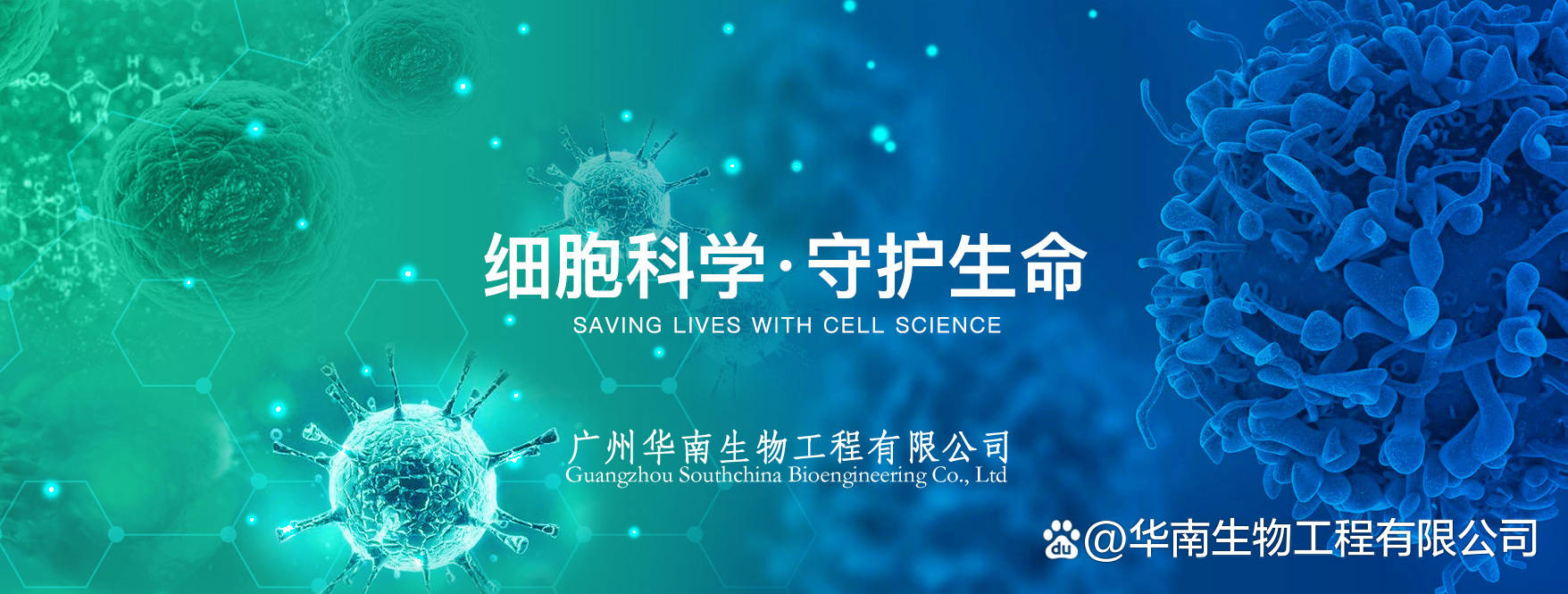 鼠疫菌胶体金检测试剂