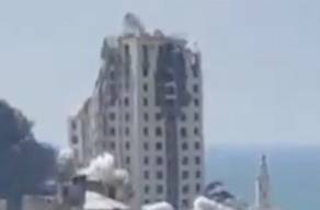 郑钦文取胜后直接倒地庆祝