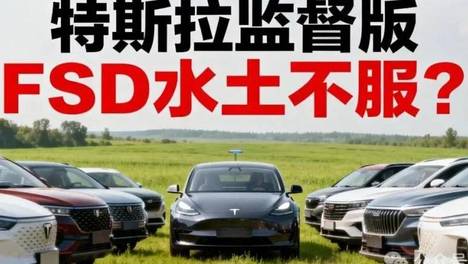 不是狼来了，是裁判来了！特斯拉监督版FSD入华会水土不服吗？