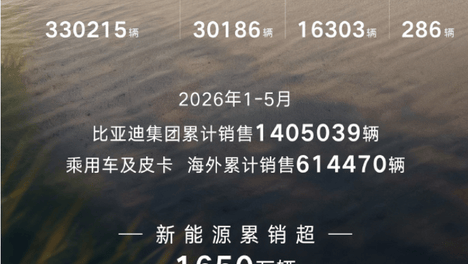 连续60个月领跑 比亚迪以全体系实力书写中国新能源新高度
