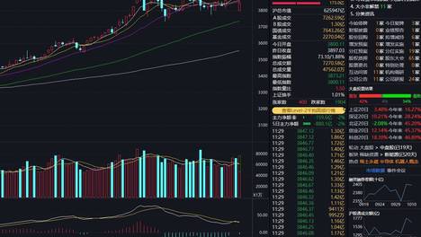 萌兰10岁啦花花和叶5岁啦