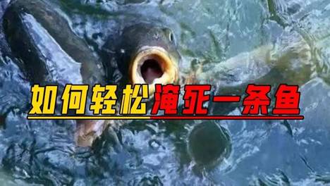 爱吃鱼又怕刺？这事儿被我们摆平了！
