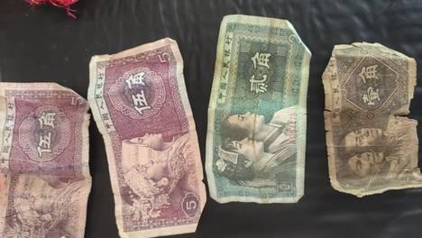 大学生写家史︱生命的重量——一个东北农村女性的七十年