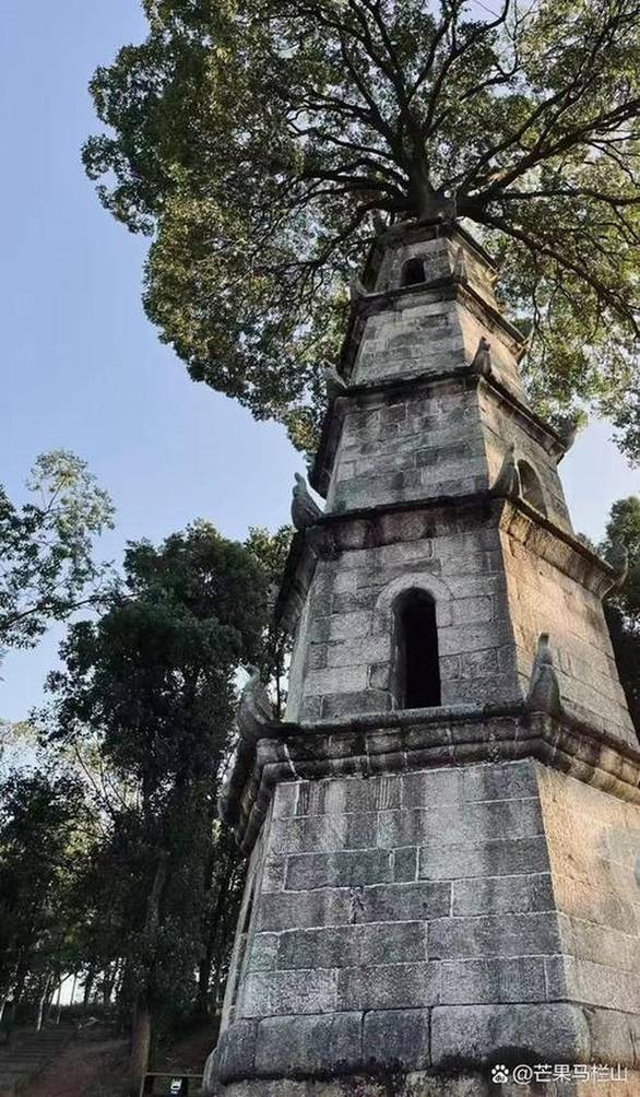 王安宇请立刻离开广东