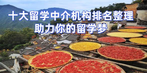 孙颖莎世乒赛力争卫冕