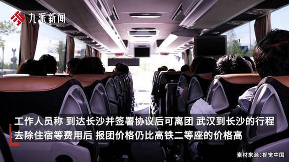 我要养猫咪