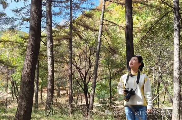 田曦薇紫色抹胸纱裙