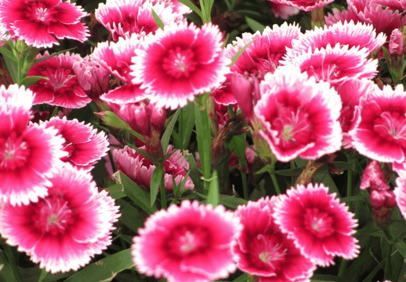 英国水煮遗体排入下水道或将合法化