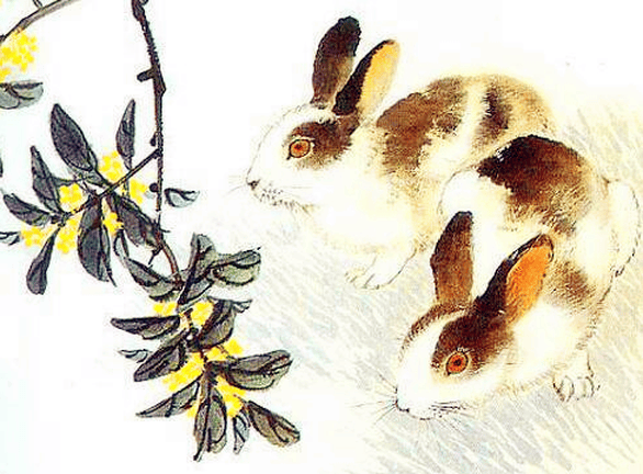 伊朗针对打击中东地区美军做好准备