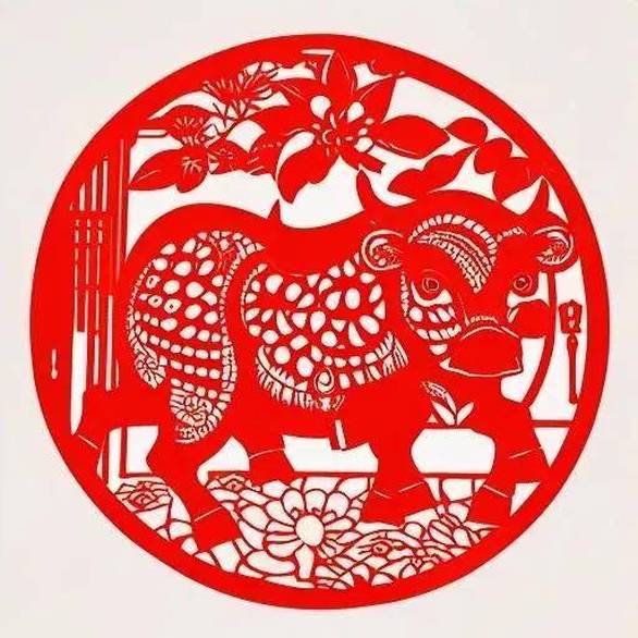 杨紫工作室发通报声明