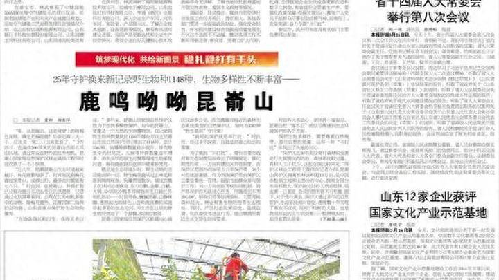 文化新三样的出海密码,你知道吗?