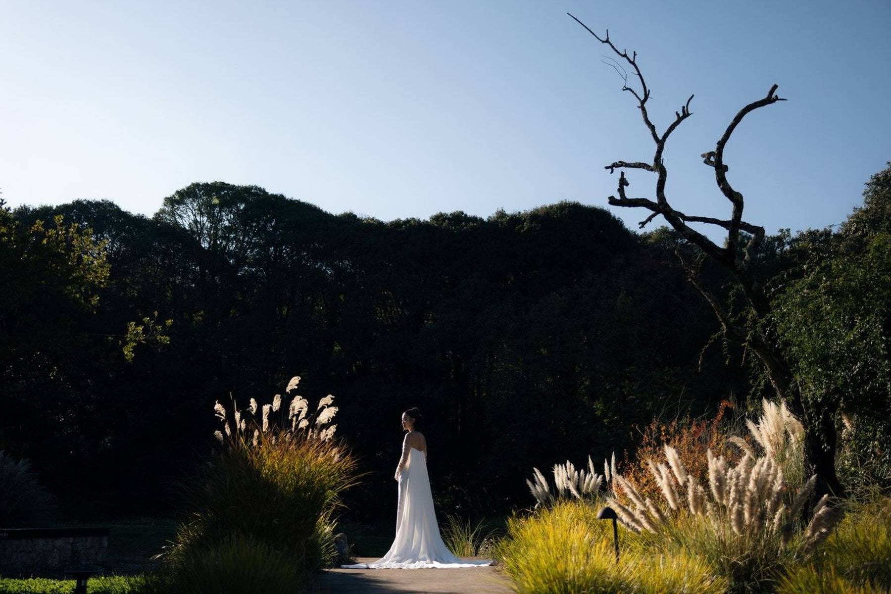 霍启仁妻子公开婚礼现场照 两人携手前行温馨浪漫