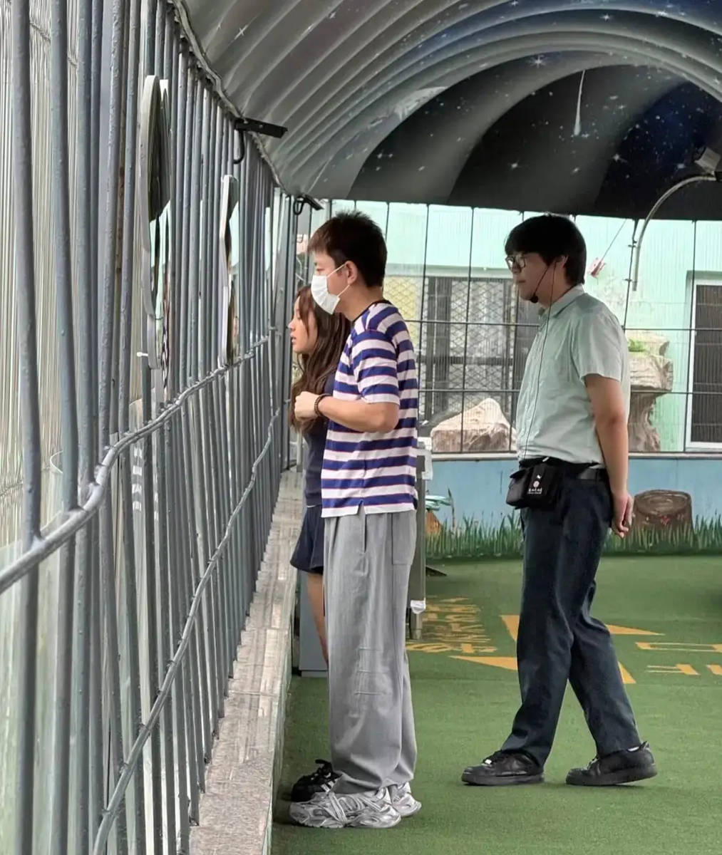 贾乃亮带女儿去东北虎林园 甜馨身高长到爸爸肩膀