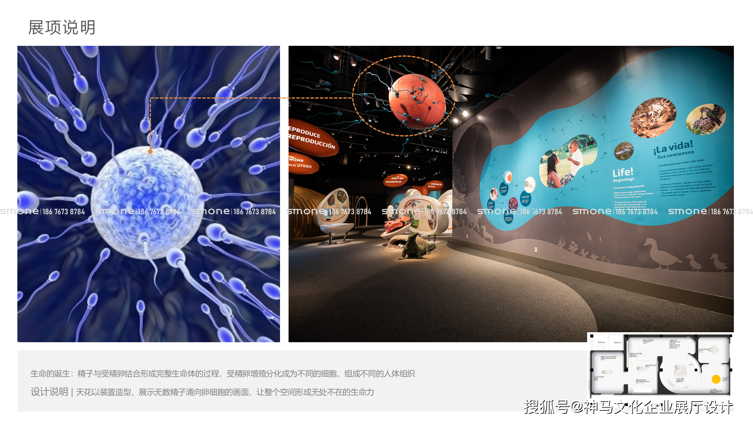 如何打星空体育最新登录地址造优秀的数字化展厅？(图2)