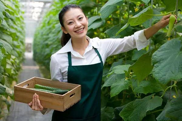J9九游会 九游会J9农艺师证书怎么报名？含金量如何？考试要求？适合谁考？考试内容(图1)