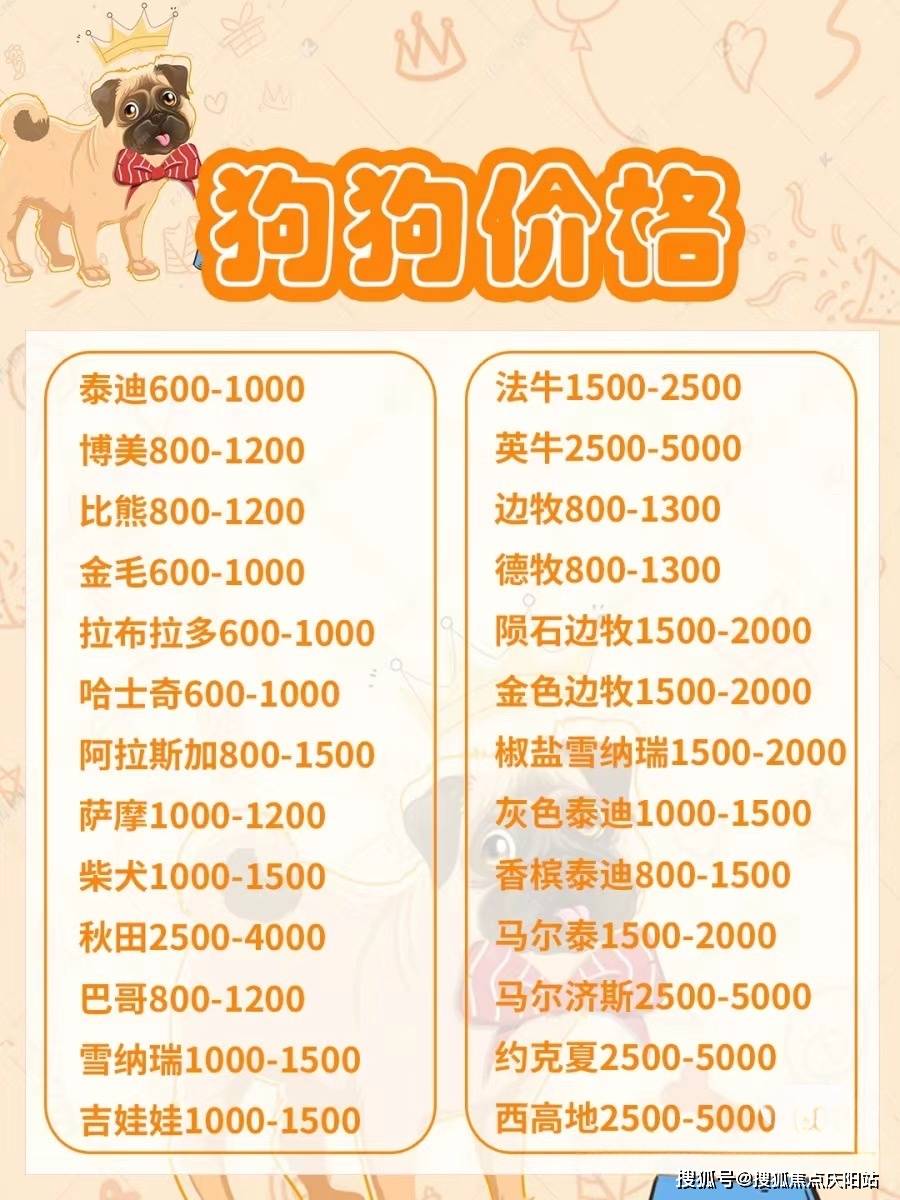 哪里出售阿拉斯加犬 哪里出售阿拉斯加犬