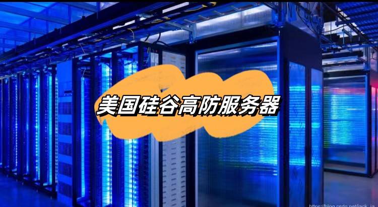 美国高防服务器问答  第1张