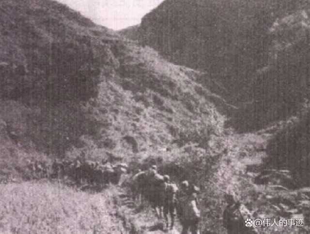 73年公安部长李震意外身亡，引起众人争议，周总理下令：彻查到底