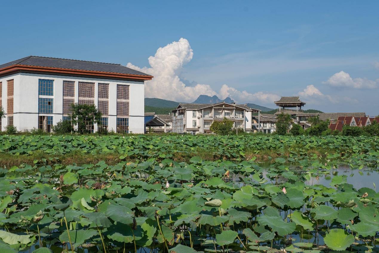 🌸杭州新闻【澳门天天彩免费资料大全免费查询】_【深圳特区报】将古树生态景观融入城市更新景观设计 古树共生留住百年乡愁