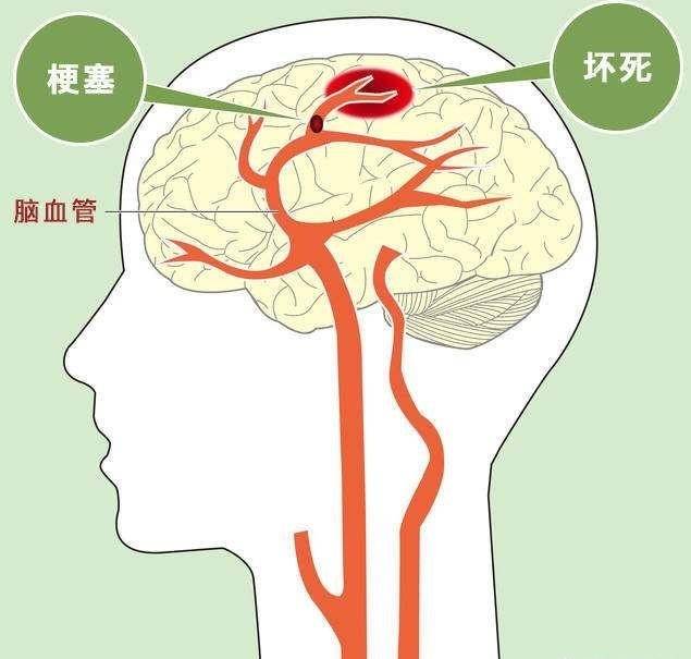 🌸中国经济周刊【澳门今晚必中一肖一码准确9995】|科技赋能老年生活 MediHelper助力老年健康  第1张