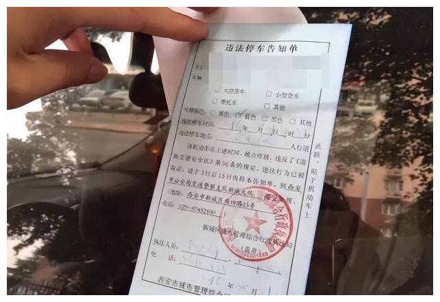 车停p字停车场,竟被城管贴违停罚单,城管:你停的车位是假的!