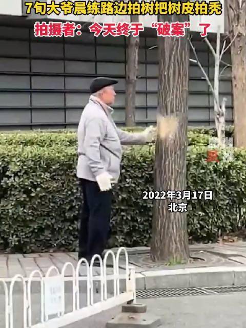 北京：一老人晨练居然把树拍秃，网友：心疼此树