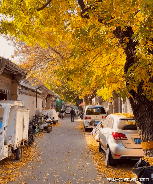 美嘉体育官网北京旅行六日游跟团花费多少北京旅游攻略6天5晚多少钱(图3)