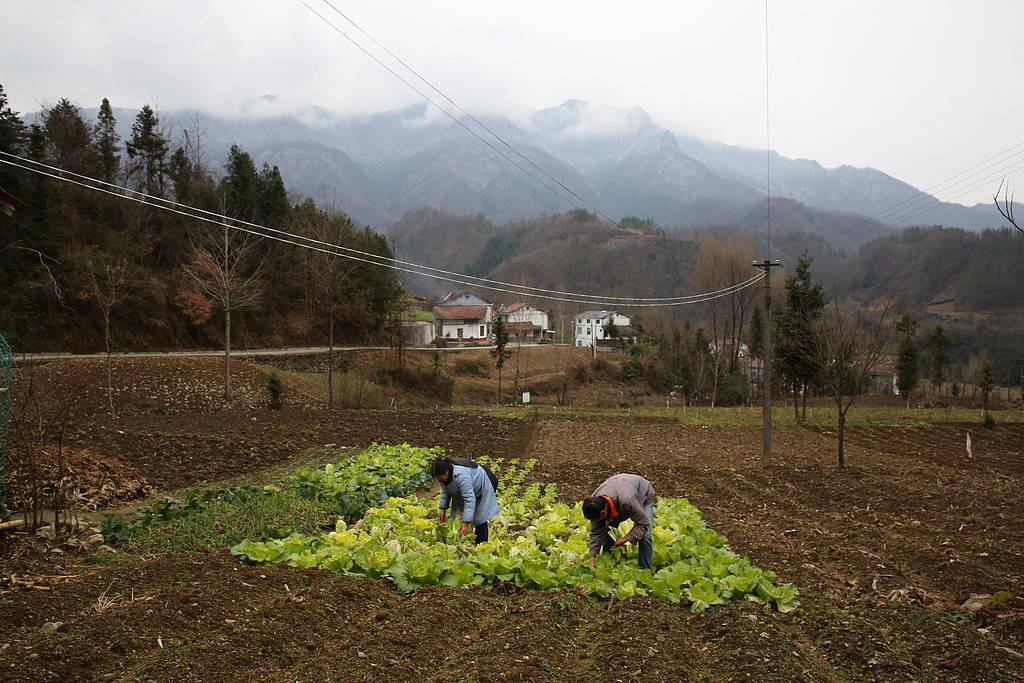 村小组不给外嫁女分补偿款,又是外嫁女承担所有 村小组不给外嫁女分补偿款,又是外嫁女承担所有