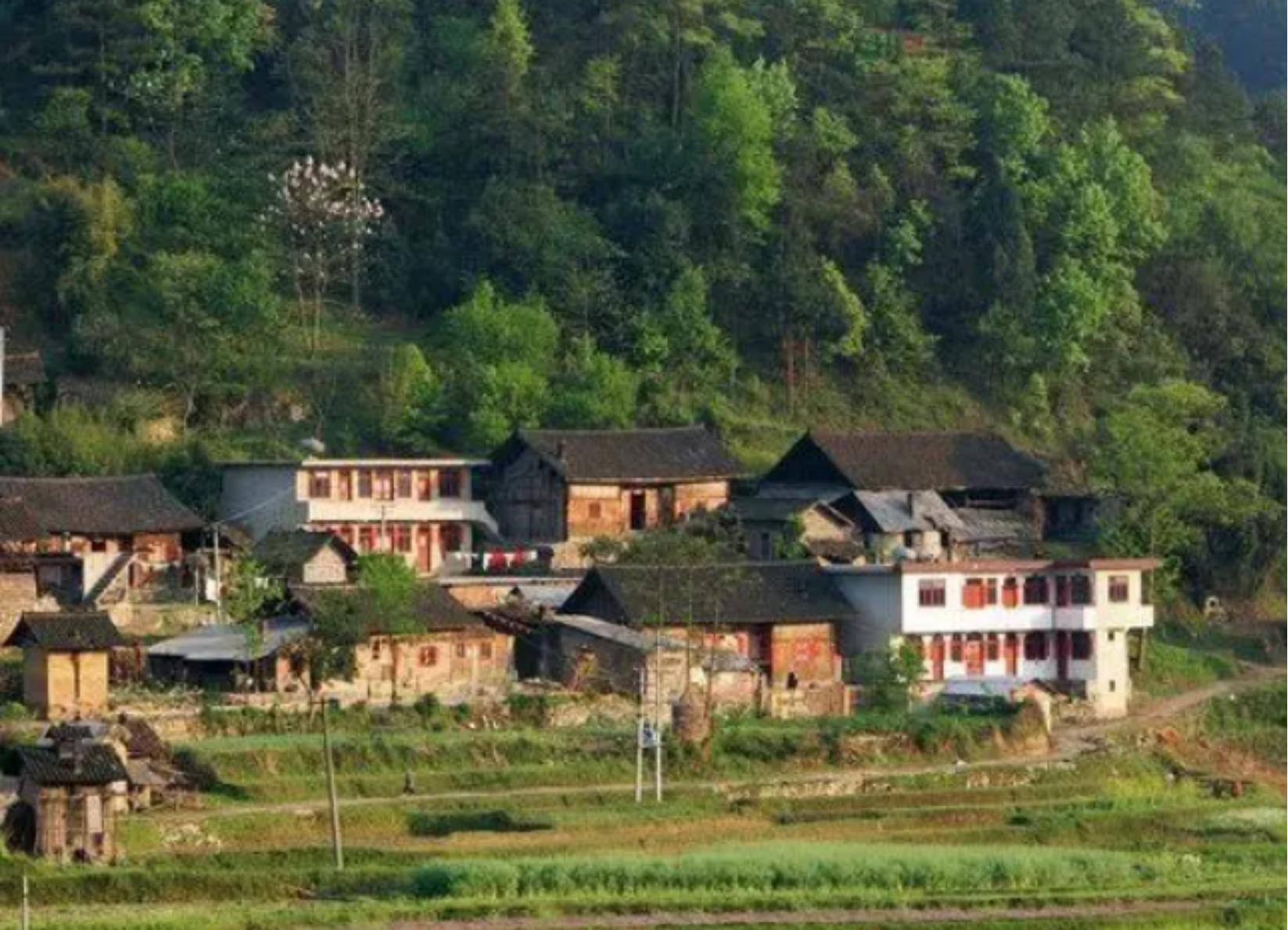 2006年山村独居女人惨死家中法医非常吃惊：她死后还受到了侵犯开元棋牌- 开元棋牌APP下载- 官方网站