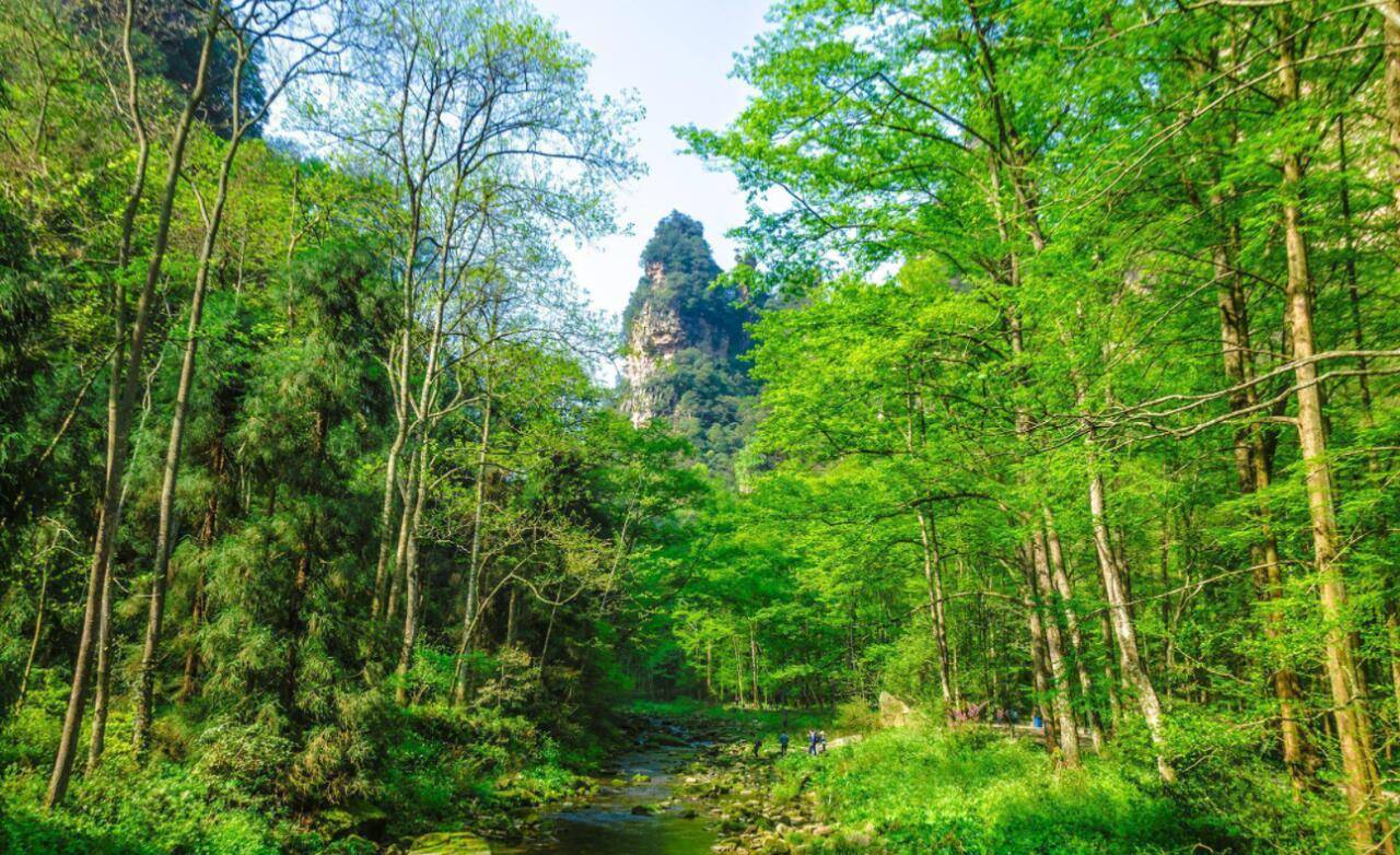 张家界旅游美食住宿景点推荐！收藏这份Binance Casino - 领先的数字货币娱乐场，安全稳定，极速存取旅游全攻略再出发！张家界5天4晚行程