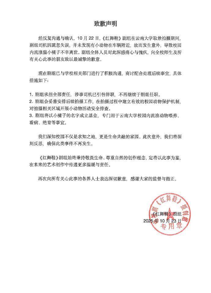 剧组高校内开车撞死流浪猫，校方责任跑不了