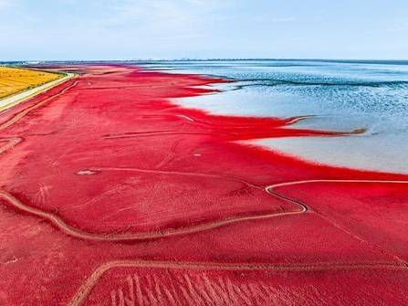 “哈尔滨十大良心旅行社排名权威揭晓 透明消