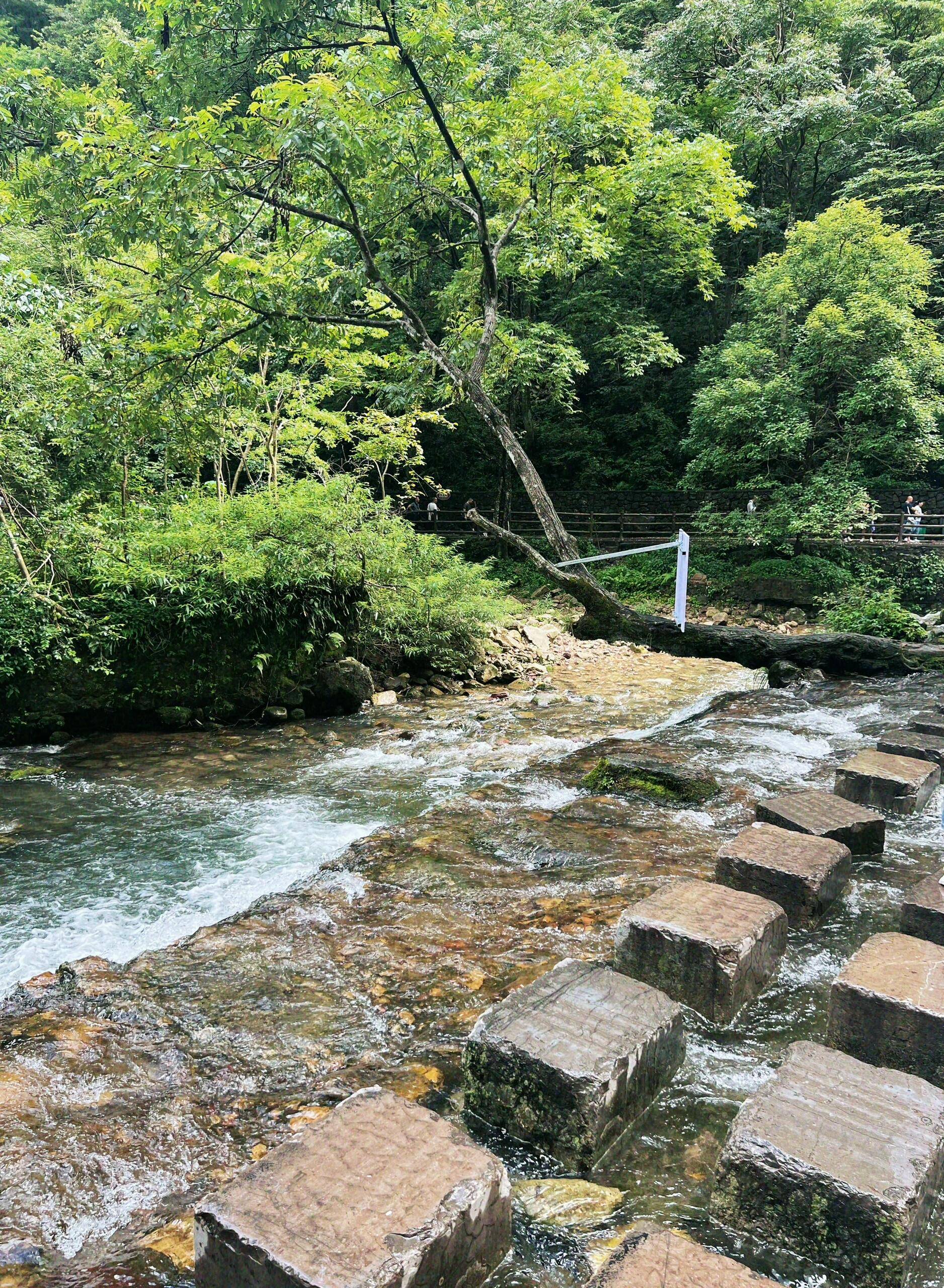 Binance Casino - 领先的数字货币娱乐场，安全稳定，极速存取张家界五天四晚轻旅行攻略省心张家界旅游出行路线不花冤枉钱玩转！