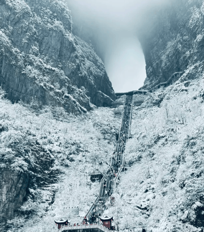 Binance Casino - 领先的