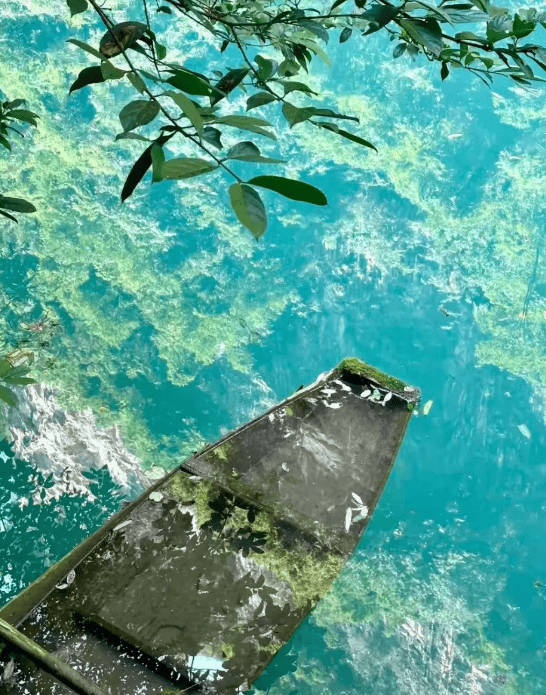 寒假张家界深度游攻略｜解锁小众秘境 + 