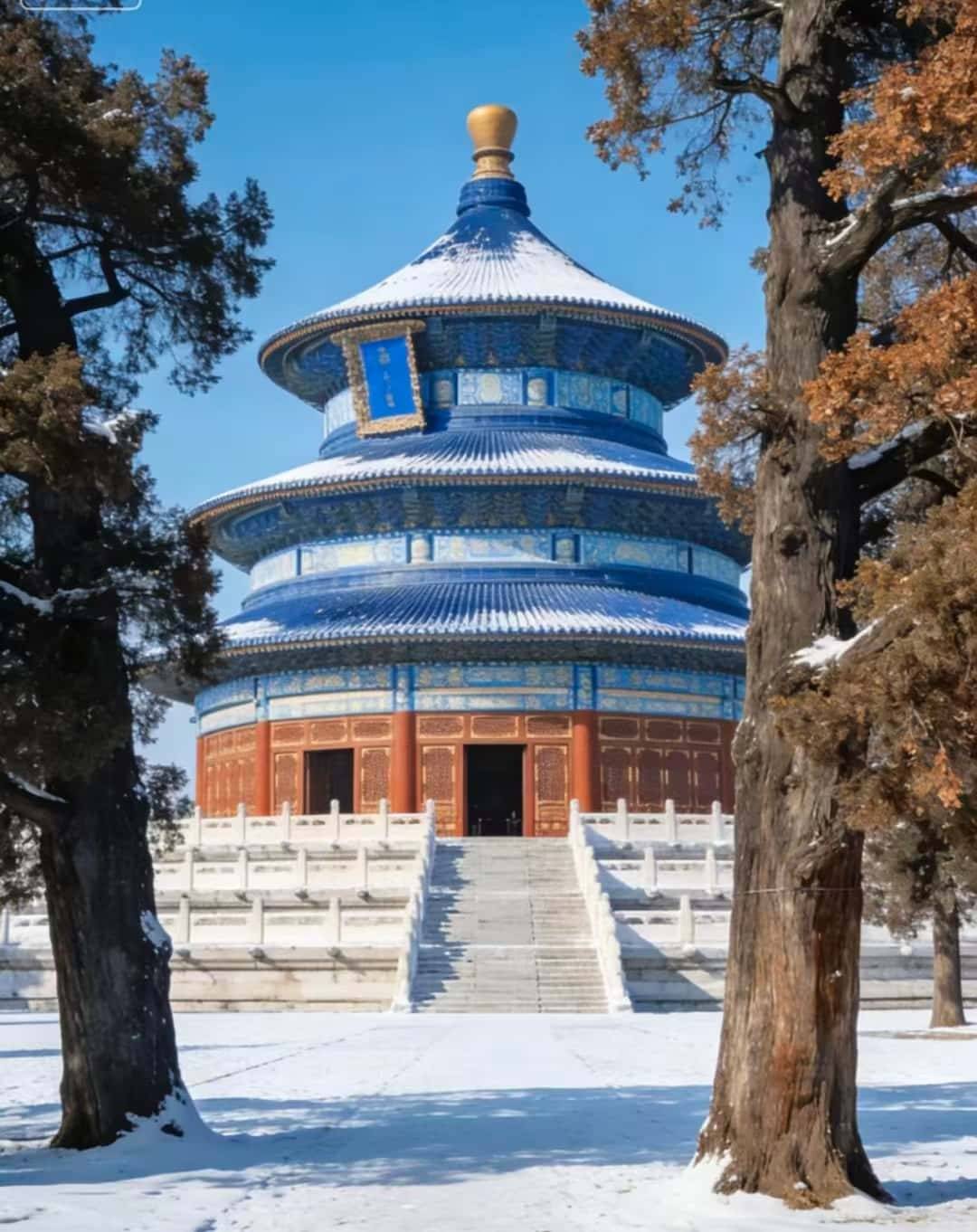 Binance Casino - 领先的