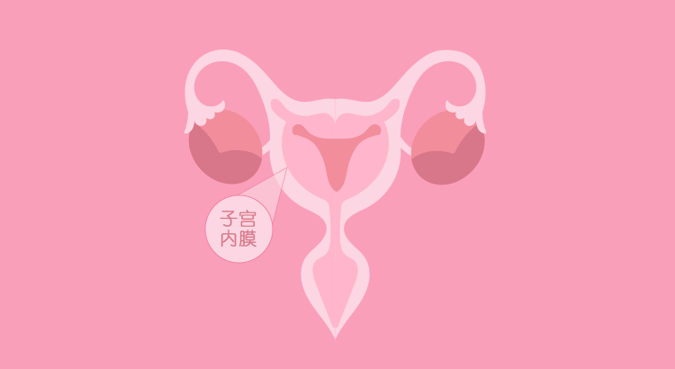 备孕攻略-什么样的子宫内膜更容易怀孕?