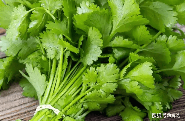 
        香菜的味道