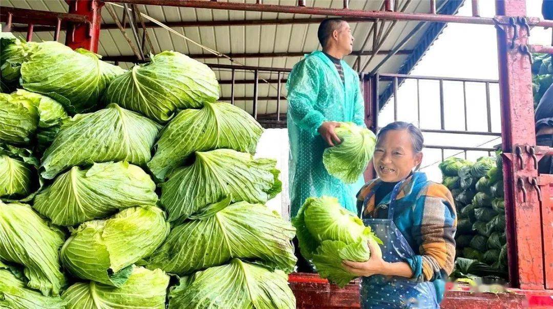 全市“农业生产十大亩产最优榜”！潼南占俩！多米体育(图3)